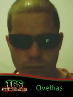 Ovelhas
